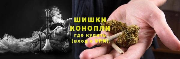 spice Абаза