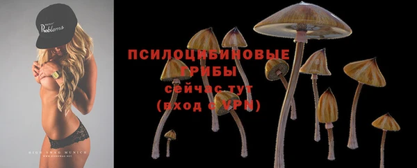 шишки Абдулино