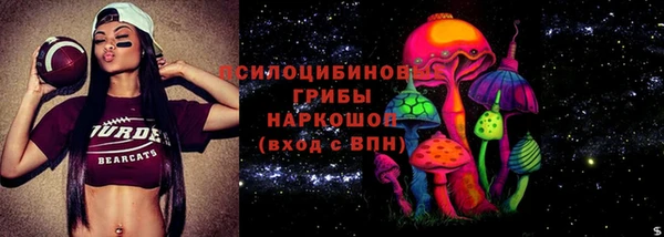 шишки Абдулино